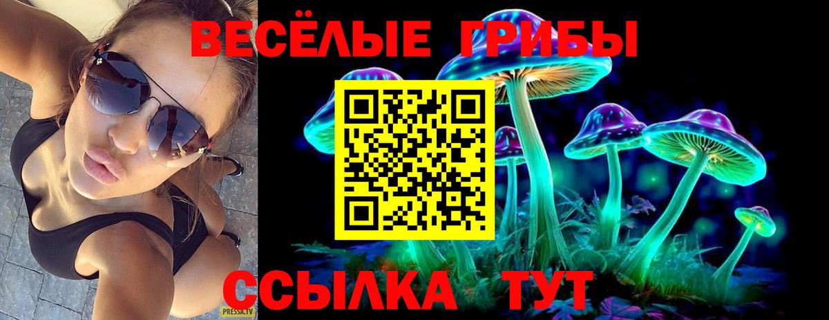 Омск  Галлюциногенные грибы Magic Shrooms  Галлюциногенные грибы ЛСД  Вход с VPN 